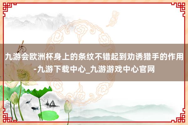 九游会欧洲杯身上的条纹不错起到劝诱猎手的作用-九游下载中心_九游游戏中心官网