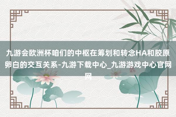 九游会欧洲杯咱们的中枢在筹划和转念HA和胶原卵白的交互关系-九游下载中心_九游游戏中心官网