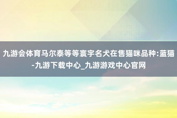 九游会体育马尔泰等等寰宇名犬在售猫咪品种:蓝猫-九游下载中心_九游游戏中心官网