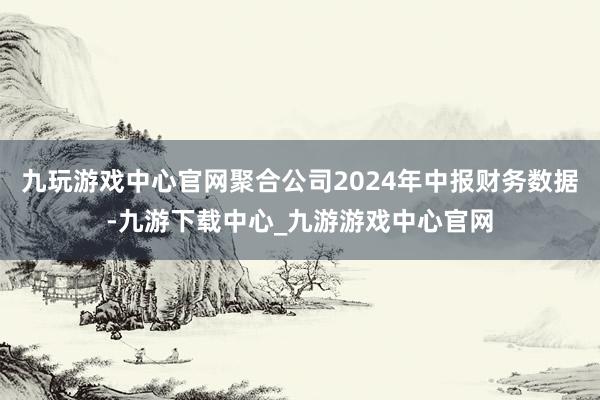九玩游戏中心官网聚合公司2024年中报财务数据-九游下载中心_九游游戏中心官网